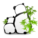 Panda Bears Icon